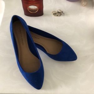 Royal blue shoes